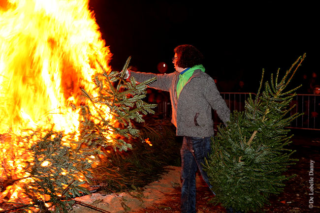 ddl-scheldewindeke-kerstboom-verbranding-groenbuiken-11