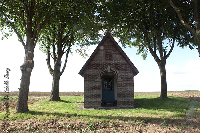 DDL scheldewindeke dikkelvenne 100 jaar vliegvelt boek voorstelling (8)