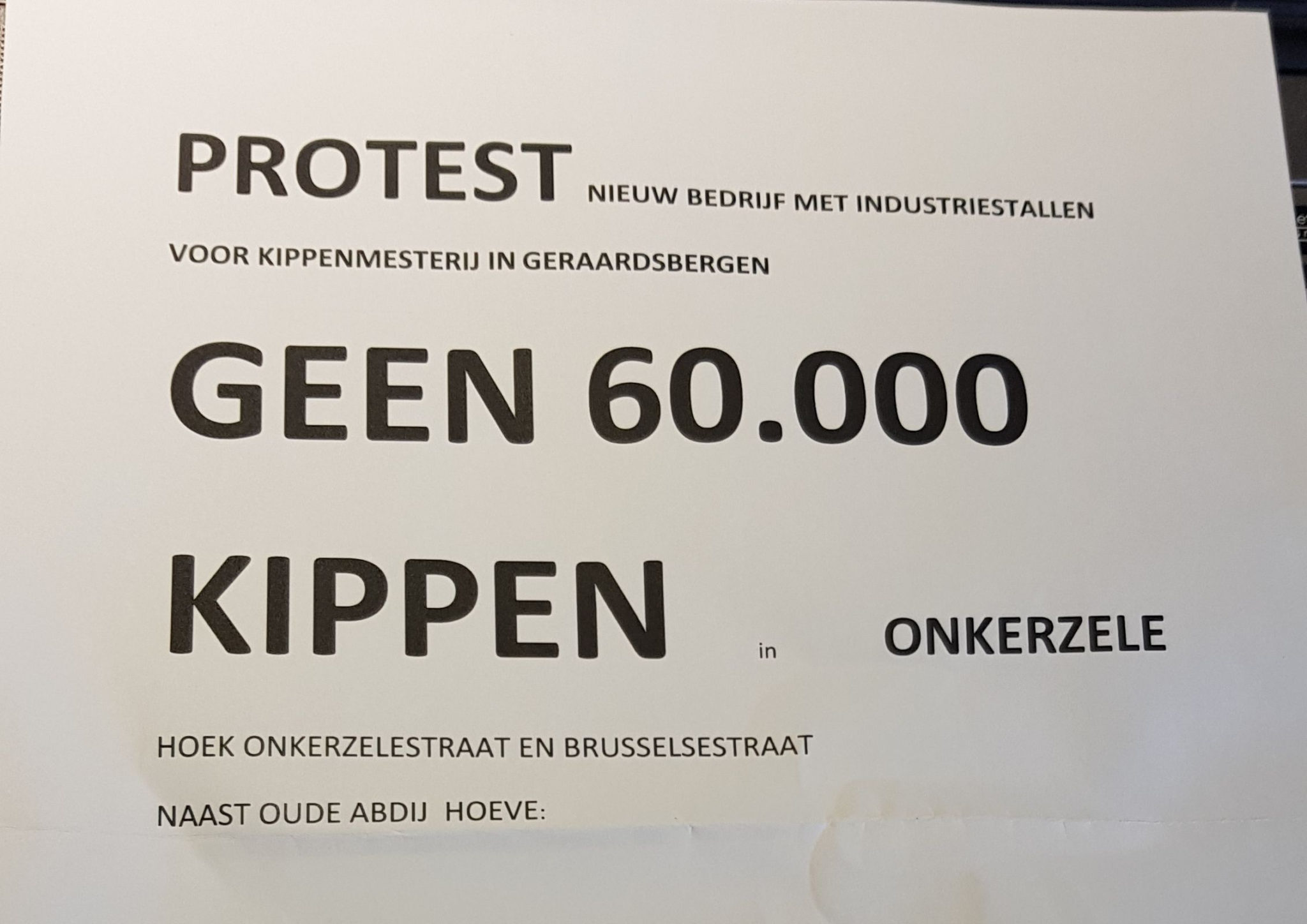 KIPPEN.jpg