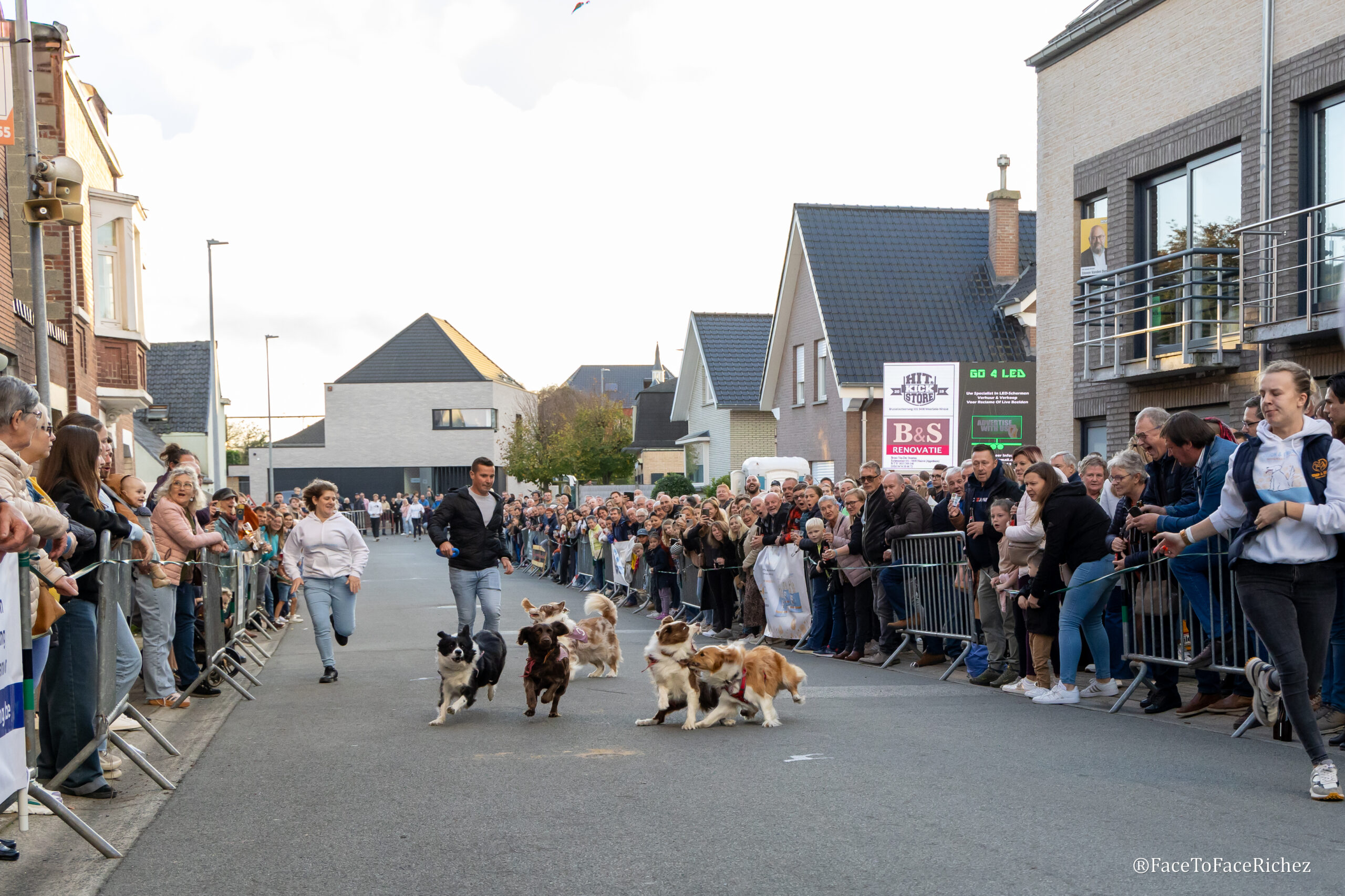 Bekende hondenkoers in Appelterre beleeft succesvolle 100ste editie