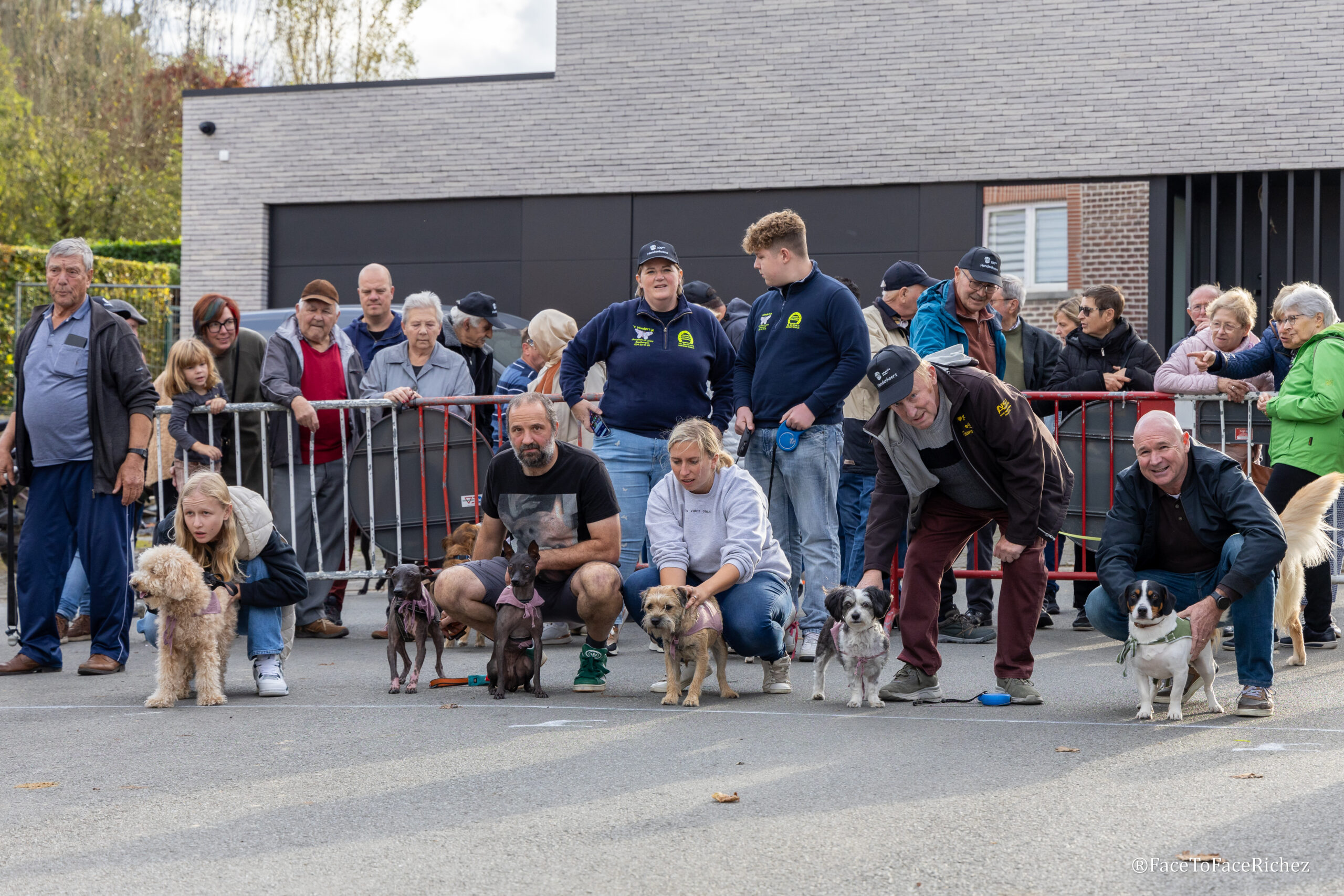 Bekende hondenkoers in Appelterre beleeft succesvolle 100ste editie