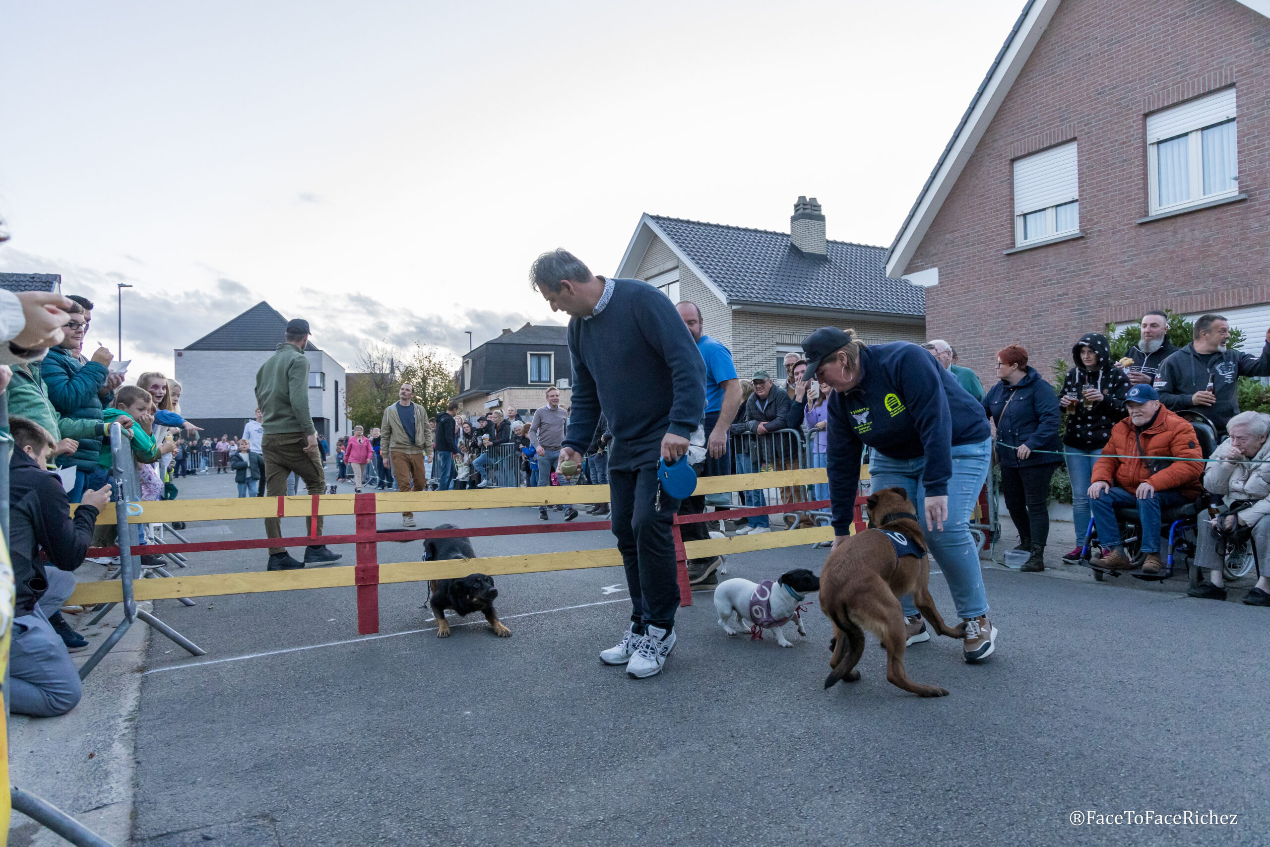 Bekende hondenkoers in Appelterre beleeft succesvolle 100ste editie